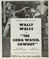 The Soda Water Cowboy (1927)
