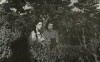 Baharda solan çiçek (1968)