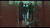 Cellule 21 (2017)