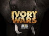 Ivory Wars (2013)