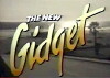 The New Gidget (1986)