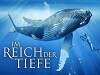 Im Reich der Tiefe (2011)