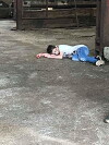 Undead (2018)