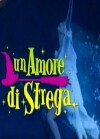 Un amore di strega (2009)