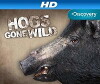 Hogs Gone Wild (2011)