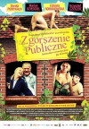 Zgorszenie publiczne (2010)