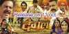 Dangal (2013)