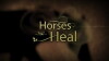 Horses That Heal (2015)