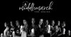 Middlemarch: The Series (2017)
