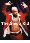 The Sisqo Kid (2013)