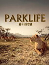 Parklife: Africa (2000)