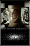 A Hundred Indecisions (2017)
