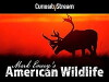 Mark Emery's American Wildlife (2016)