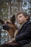 SHEPHERD: The Story of a Jewish Dog (2019)