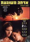 Sweet Mud (2006)
