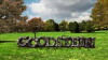 Goodstein: The Web Series (2015)