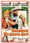 Yasamak ne güzel sey (1969)