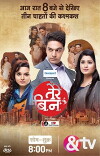 Tere Bin (2016)