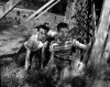 The Hardy Boys (1969)