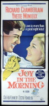 Joy in the Morning (1965)