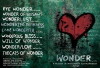 Wonder... (2010)