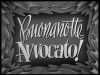 Buonanotte... avvocato! (1955)