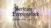 Bertram Poppingstock: Problem Solver (2016)