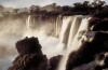 Natural World (1983)