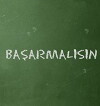 Basarmalisin (2013)