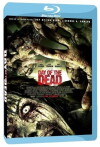 Day of the Dead (2008)