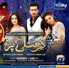 Ghar Titli Ka Par (2017)