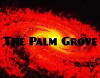 The Palm Grove (2018)