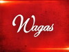 Wagas (2013)