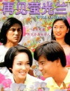 Zai jian ying guang lan (1996)