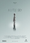 A Little Grey (2016)