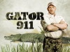 Gator 911 (2010)