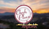 Check, Please! Arizona (2010)