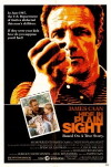 Hide in Plain Sight (1980)
