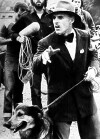 Vote Baroni (1984)