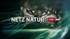 Netz Natur (1994)