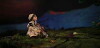 Under the Walnut Tree (2018)