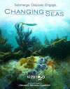 Changing Seas (2009)