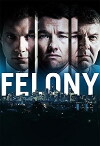 Felony (2013)