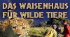 Das Waisenhaus für wilde Tiere (2011)