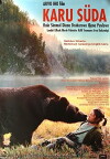 Das Herz des Bären (2001)