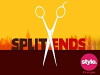 Split Ends (2006)