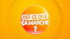 Est-ce que ça marche? (2013)