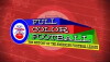 Full Color Football: The History of the American Football League (2009)