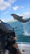 Dolphin Kick (2018)