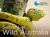 Secrets of Wild Australia (2016)